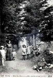 1992- Blida - Hotel des Glacieres - Allee du Belvedere - 1913